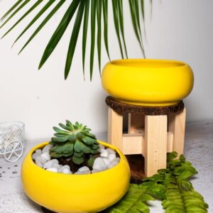 Bowl Pot (Yellow)