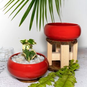 Bowl Pot (Red )