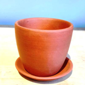 Succulent Cup Pot with Saucer